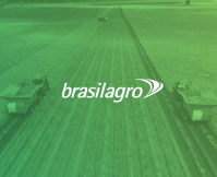 Brasilagro registra prejuízo e queda de receita no 3º trimestre fiscal
