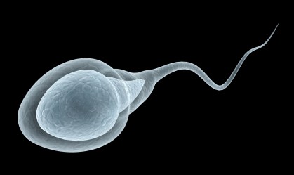 França legaliza tratamentos de fertilidade, mas sofre com falta de esperma