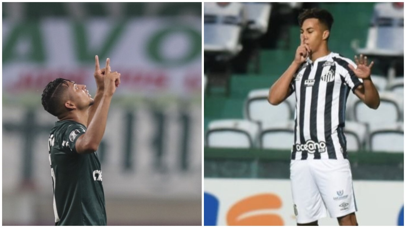 palmeiras e santos