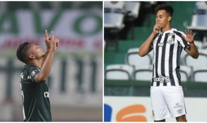 palmeiras e santos