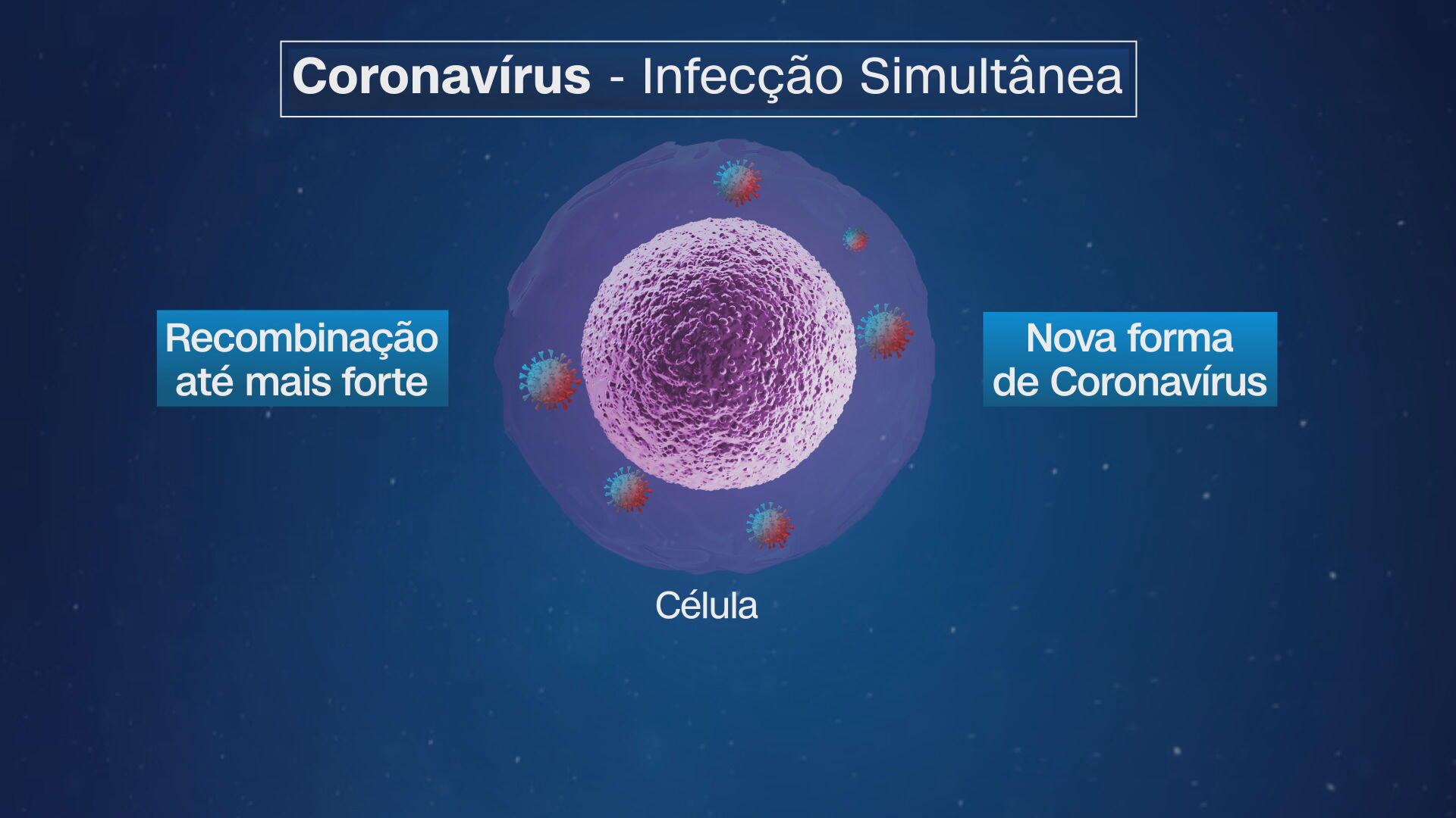 Coinfecção de coronavírus pode gerar um terceiro tipo mais forte