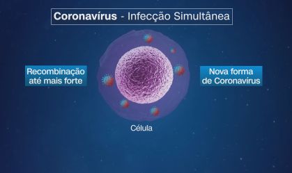 Coinfecção de coronavírus pode gerar um terceiro tipo mais forte