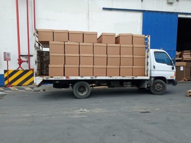Guayaquil distribui caixões de papelão para suprir falta dos de madeira