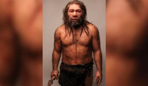 Neandertais