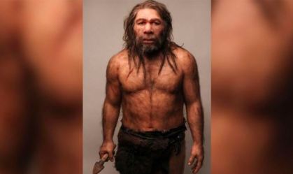 Pesquisadores descobrem caso de transbordamento de doença em fóssil de neandertal