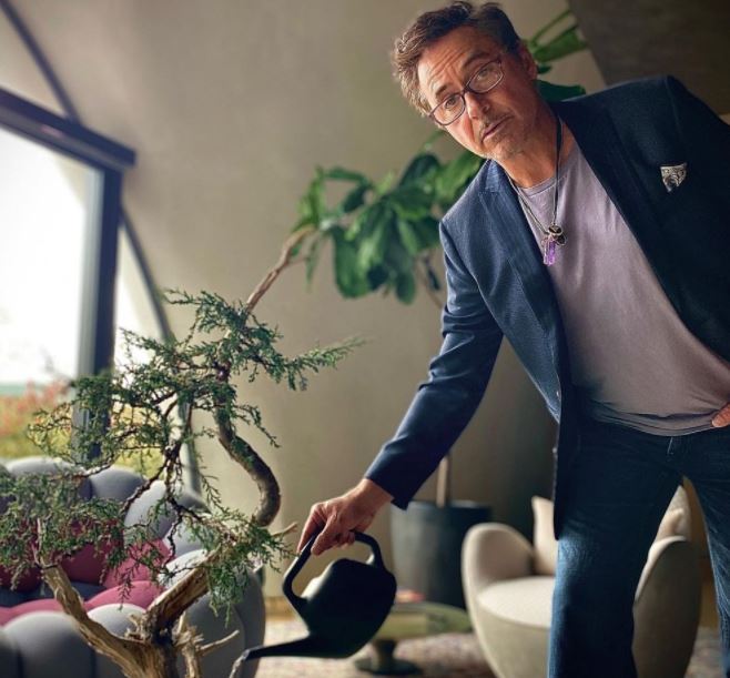 Robert Downey Jr