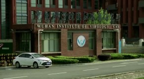 Instituto de Virologia de Wuhan, local das &#039;conspirações&#039; sobre a Covid-19