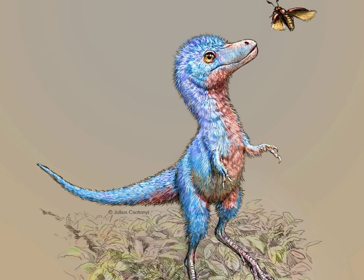 Tiranossauro Rex