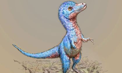 Tiranossauro Rex