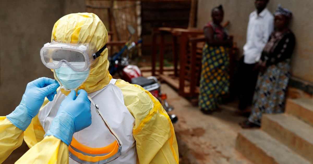 Ebola: entenda sobre as mutações e as respostas científicas sobre o vírus