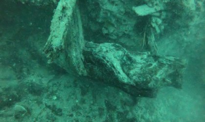 Como uma floresta submersa de 60 mil anos pode ajudar na fabricação de remédios