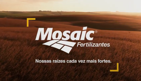 Mosaic Institucional