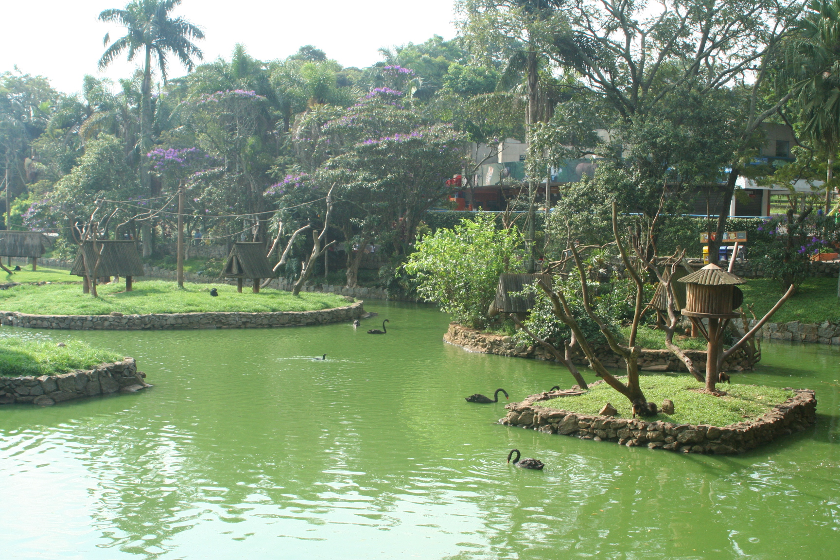 Lago do Zoológico de São Paulo, na zona sul da capital paulista