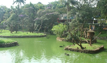 Governo de SP concede Zoo e Jardim Botânico por R$ 111 milhões