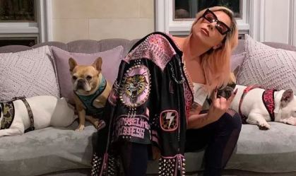 Foto de Lady Gaga com seus cães postada nas redes sociais da cantora