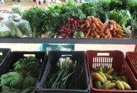 Nova lei pretende estimular a produção de alimentos nas cidades