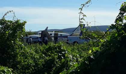 Avião que transportava vacinas contra a Covid-19 bate em jumento na Bahia