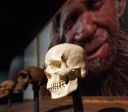Neandertais podem nunca ter sido realmente extintos, revela estudo