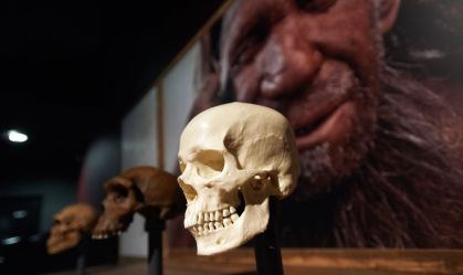 Neandertais podem nunca ter sido realmente extintos, revela estudo