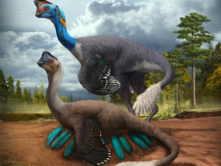 Ilustração de um oviraptorossauro chocando seu ninho de ovos