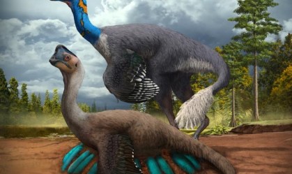 Cientistas encontram primeiro fóssil de dinossauro sentado em ninho de ovos