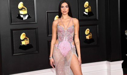 Dua Lipa vence batalha na justiça e pode retomar obras "em silêncio" em mansão