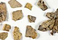 Arqueólogos israelitas encontram fragmentos de texto bíblico em caverna