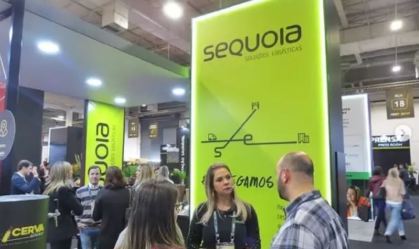 Sequoia