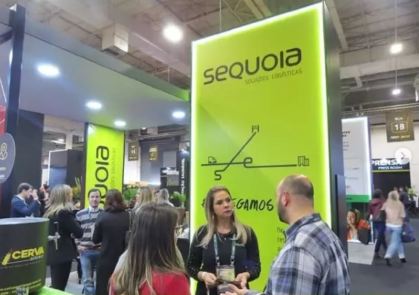 Sequoia
