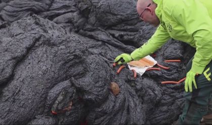 Cientistas descobriram maneira inusitada para fazer lanche
