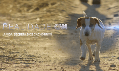 CNN exibe série que traz revelações da ciência sobre relação entre cães e homens