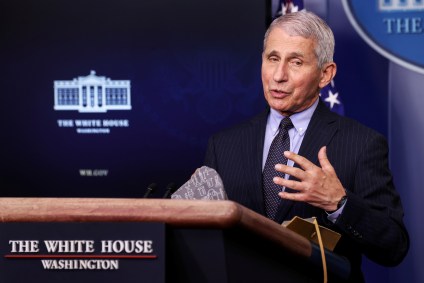 Anthony Fauci: 'EUA estudarão formas de ajudar o Brasil no combate à pandemia'