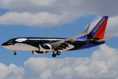 Avião da Southwest com pintura da baleia Shamu