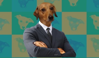 Vira-lata caramelo, tornar-se símbolo de uma criptomoeda, a Vira-lata Finance ($