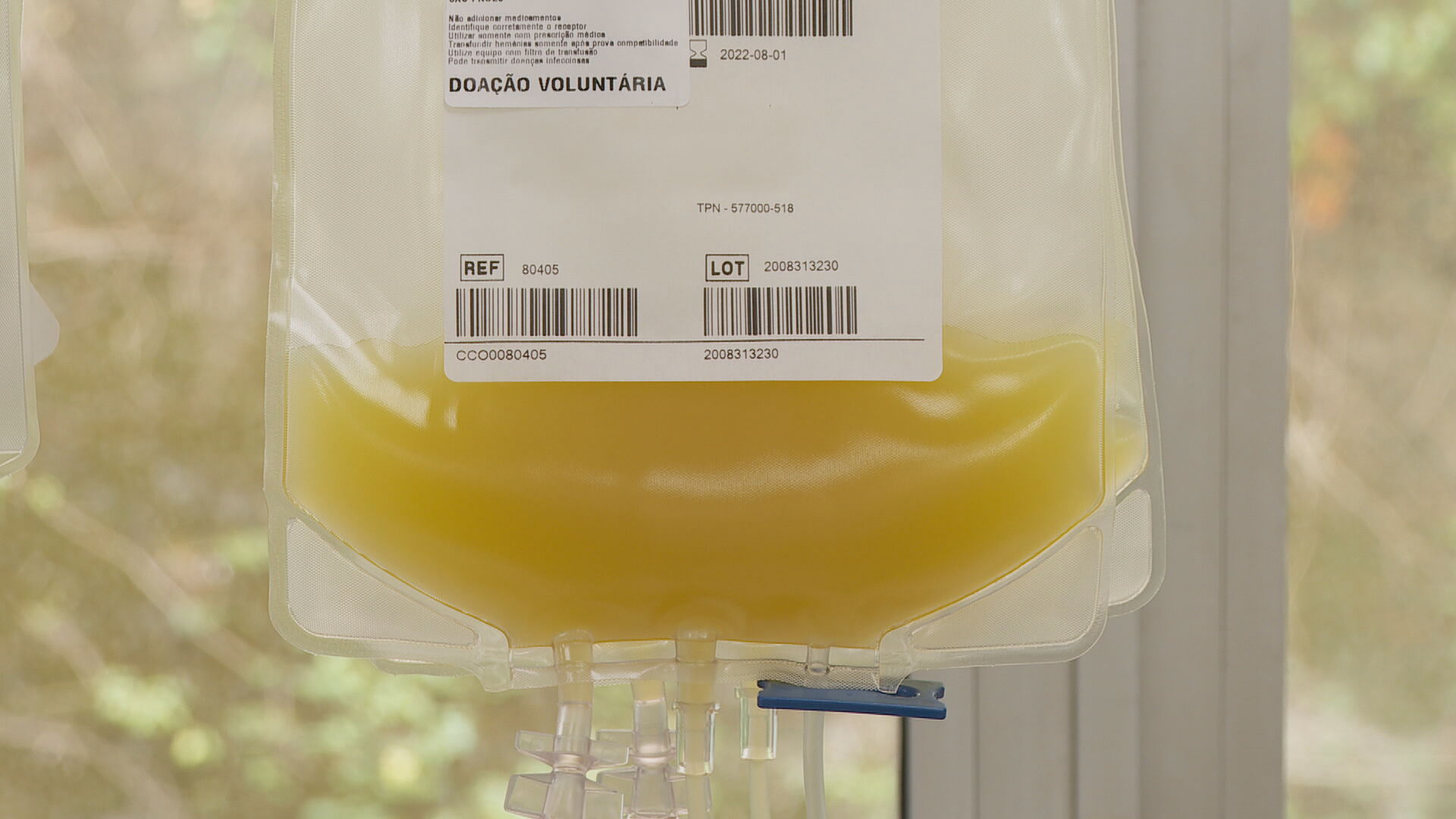 Plasma retirado de pacientes que tiveram Covid-19 (29.mar.2021)