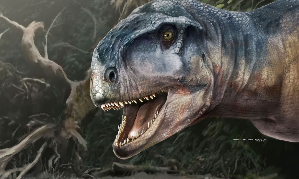 Fóssil de dinossauro é encontrado na Argentina