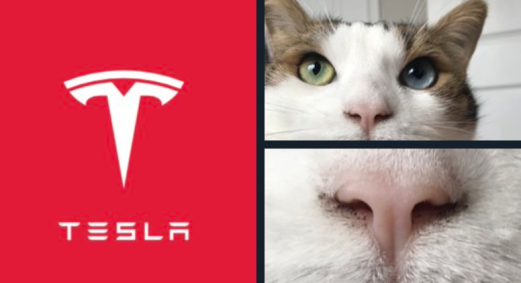 Logo da Tesla