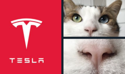 Logo da Tesla é um focinho de um gato? Teoria voltou ao Twitter e Musk responde