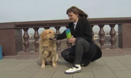 Após recuperar microfone, repórter decide 'entrevistar' cachorro brincalhão
