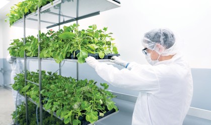Tire suas dúvidas sobre a 'vacina de planta' autorizada para testes pela Anvisa