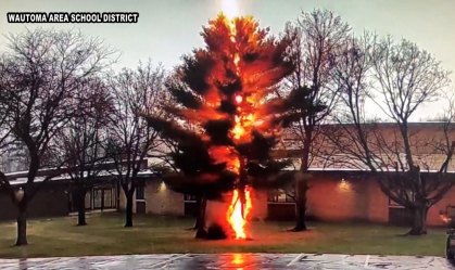Raio desintegra árvore ao lado de escola no Wisconsin, EUA; veja o vídeo