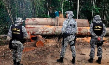 Governo quer regime fechado para quem cometer crimes ambientais