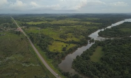 Dia da Terra 2021: conheça projetos ambientais que ajudam a preservar o planeta
