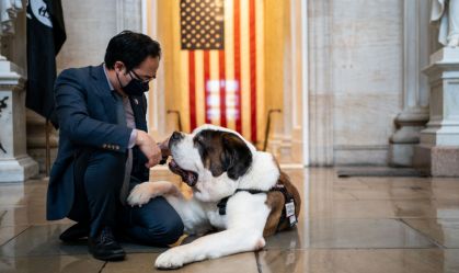 Clarence, cão São Bernardo no Capitólio dos EUA