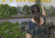 Inflação dos alimentos no atacado desacelera para 4,17% em abril, diz Ceagesp