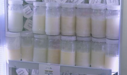 USP: Mães passam anticorpos contra Covid-19 para bebês pelo leite materno