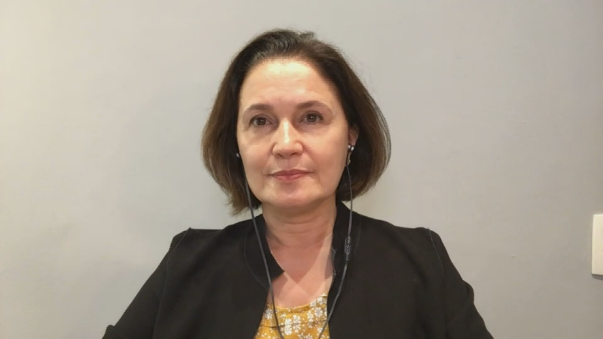 Presidente do CEBDS Marina Grossi fala sobre Cúpula de Líderes sobre o Clima
