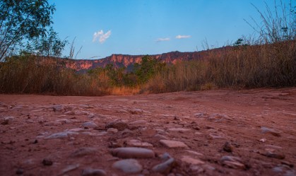Os solos do Cerrado caracterizam-se pela profundidade e drenagem. São porosos e 