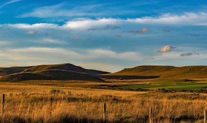 RS: Pampa registra maior perda de vegetação nos últimos 40 anos