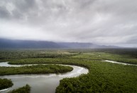 Mundo pode perder até US$ 39 trilhões com desaparecimento de áreas úmidas